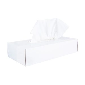 Facial tissues inh.40 doosjes a 100 tissues