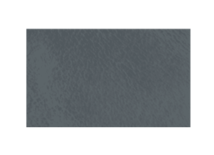 Pella® Denver Petrol