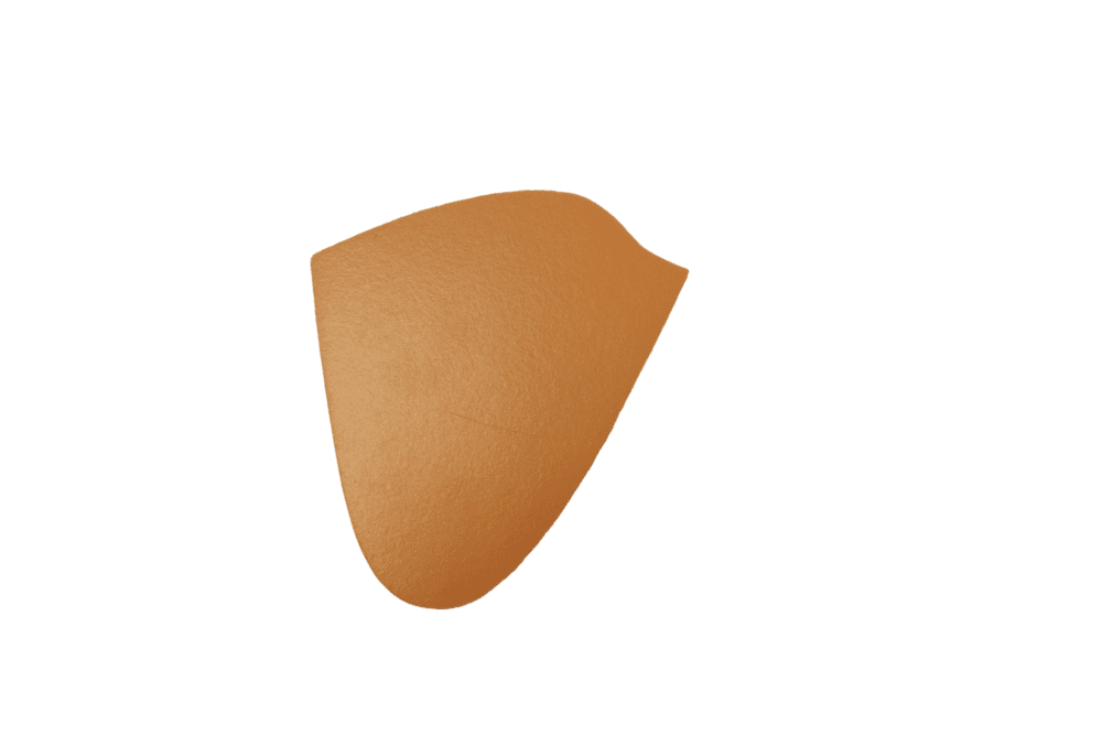 Pr. PPT pelotte 4.2
